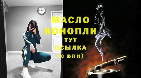 ГАЛЛЮЦИНОГЕННЫЕ ГРИБЫ Тайга