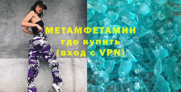 ГАЛЛЮЦИНОГЕННЫЕ ГРИБЫ Тайга