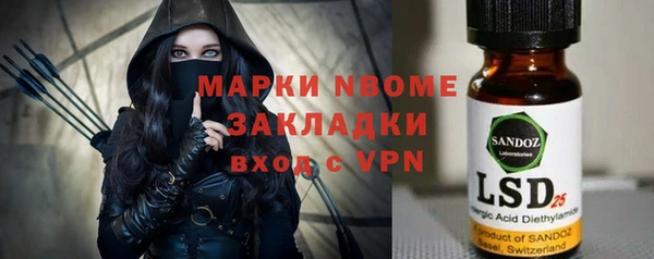 ГАЛЛЮЦИНОГЕННЫЕ ГРИБЫ Тайга