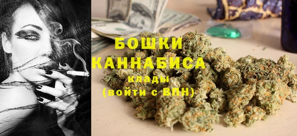 ГАЛЛЮЦИНОГЕННЫЕ ГРИБЫ Тайга