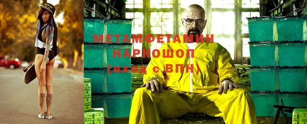 ГАЛЛЮЦИНОГЕННЫЕ ГРИБЫ Тайга
