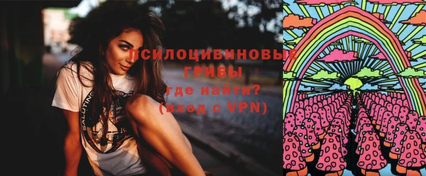 метадон Тавда