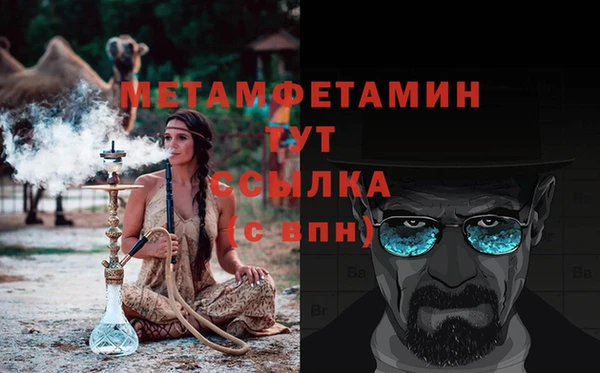 ГАЛЛЮЦИНОГЕННЫЕ ГРИБЫ Тайга
