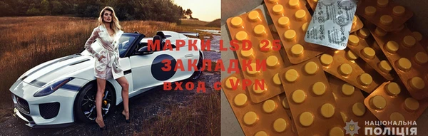 ГАЛЛЮЦИНОГЕННЫЕ ГРИБЫ Тайга