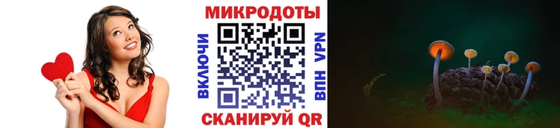блэк спрут онион  Черногорск  Галлюциногенные грибы MAGIC MUSHROOMS 