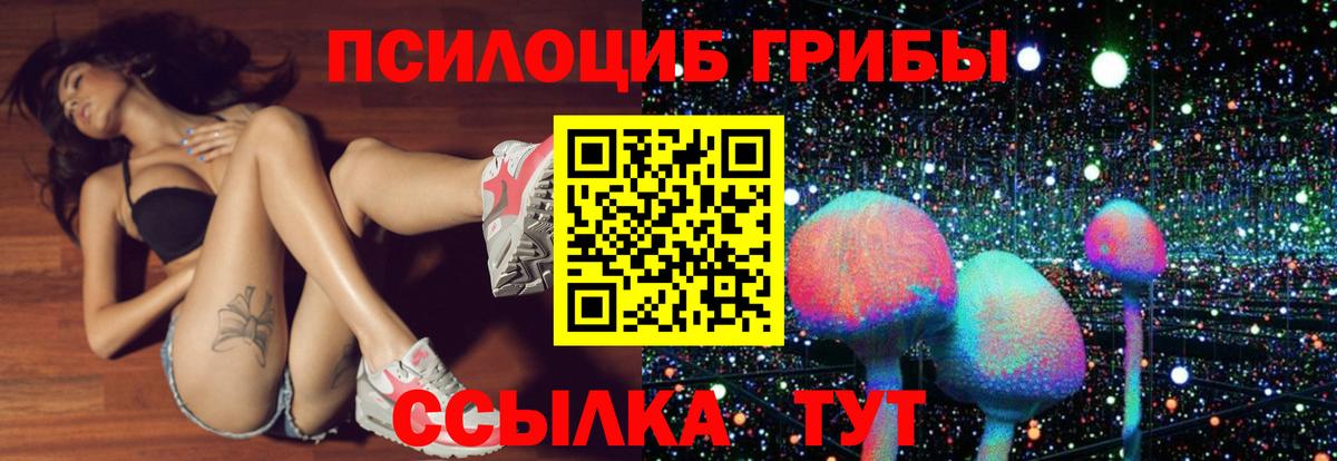 Псилоцибиновые грибы Psilocybine cubensis Черногорск